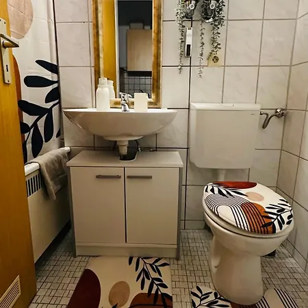 Daire Zentrales Und Gemuetliches In Mit Balkon,badewanne Und Parkplatz Passau